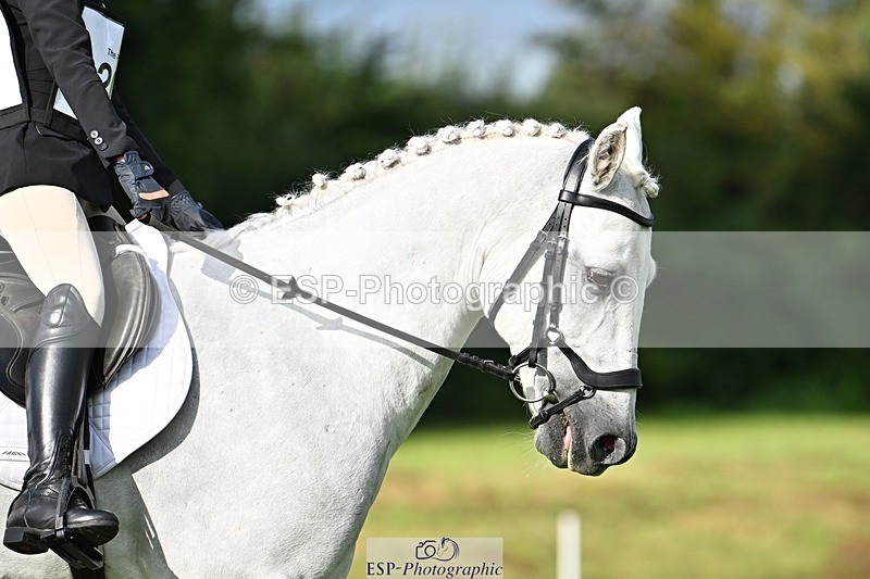 230826-090229-15902 - Sections A & B - 9 to 10am