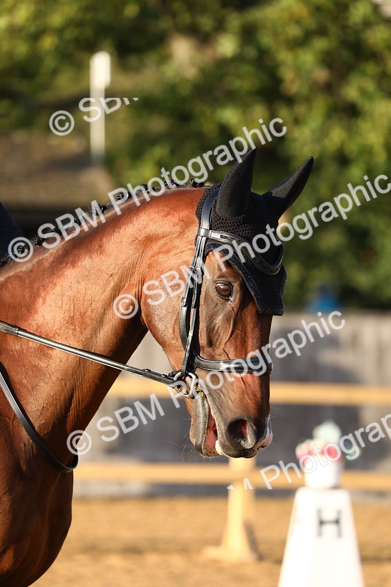 SBM_31778 - D11 - Small Tour Championship Prelim 1