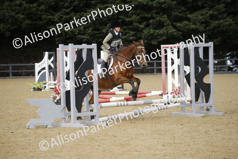 20250622-3596 - 50cm