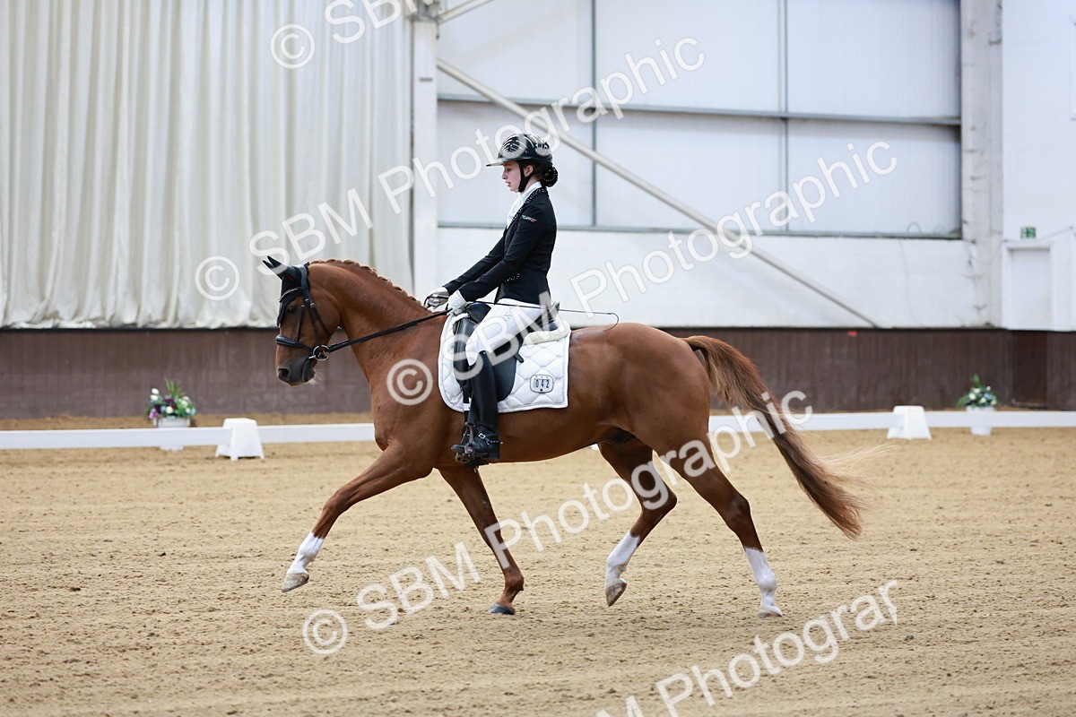 SBM_016769 - Class15 - FEI Pony