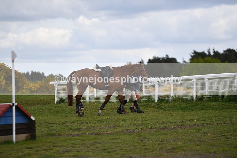 WJ5_2931 - Time 13:55 to 14:19