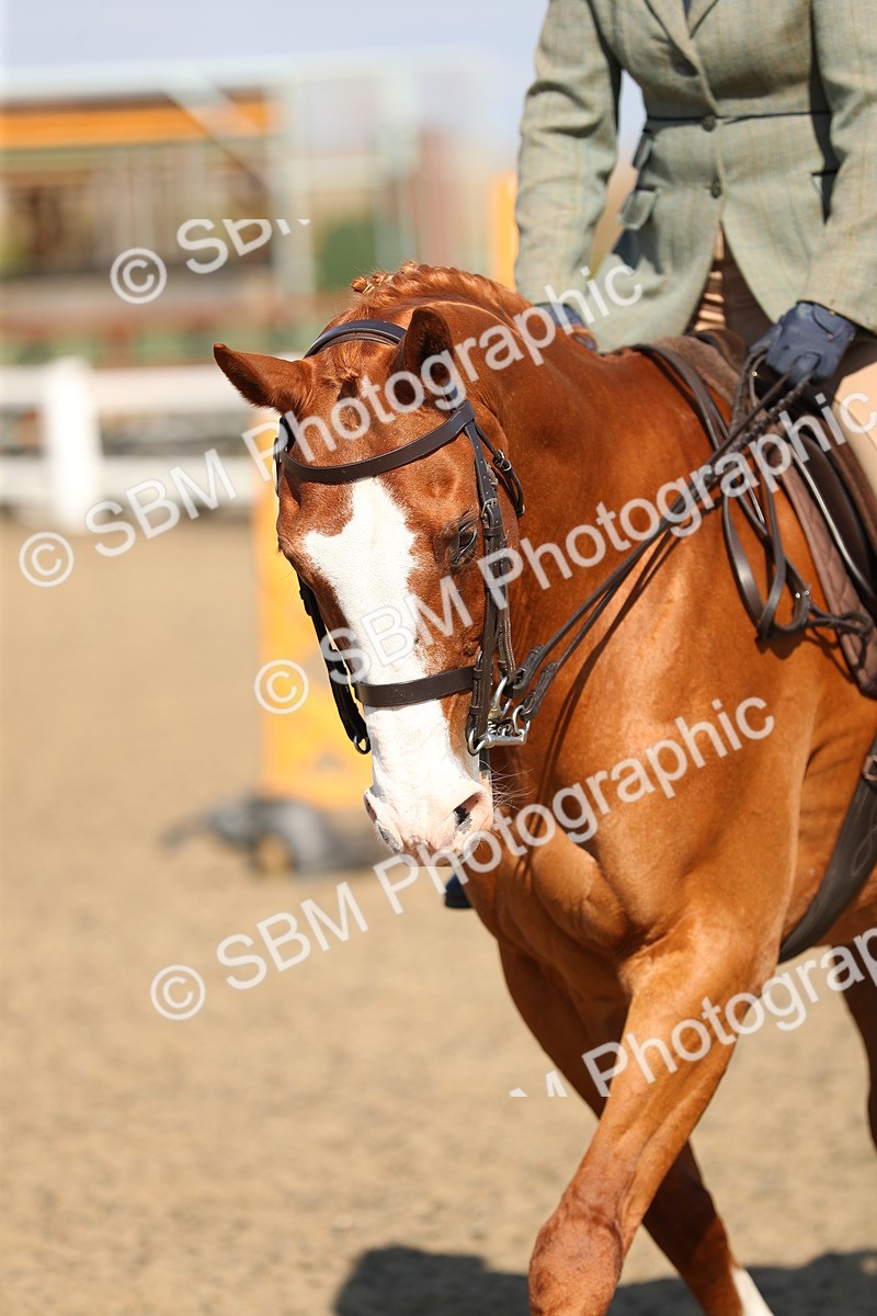 SBM_02366 - Class 43 Ridden Competition Horse/Pony