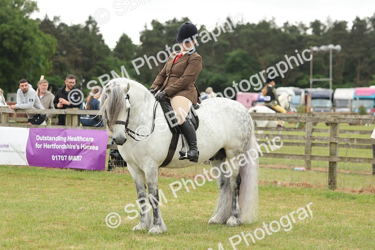 SBM_08994 - Class 78-80 - Ridden M&M Non Welsh Ponies
