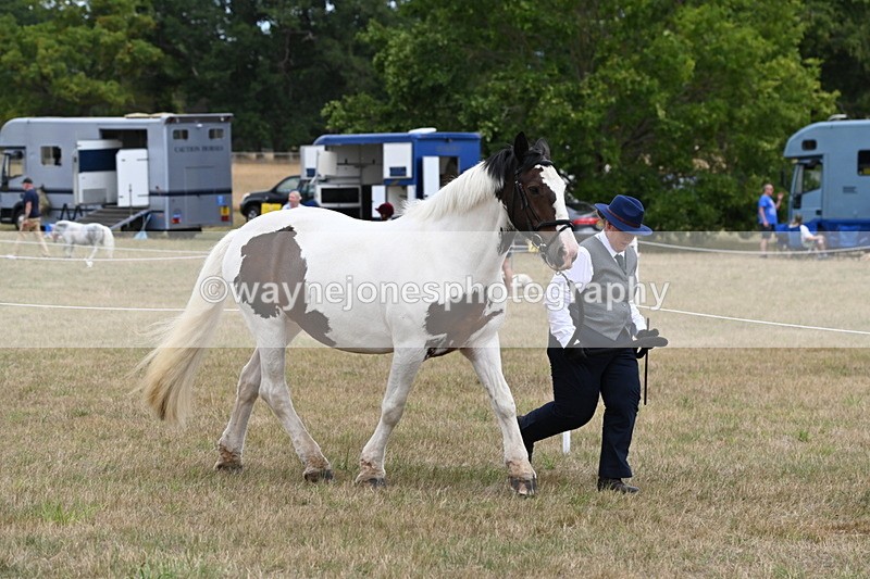 WJ6_5315 - Class 18 In-hand Coloured