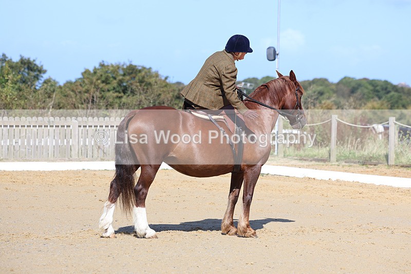 3E7A2804 - Class 4: Prelim 6 Section A Championship