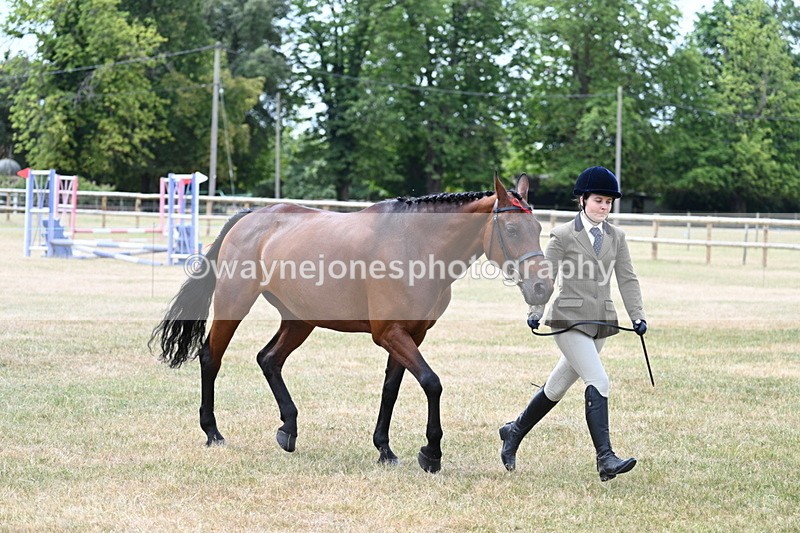WJ7_1901 - Class 4a Prettiest Mare 14.2hh and over hand