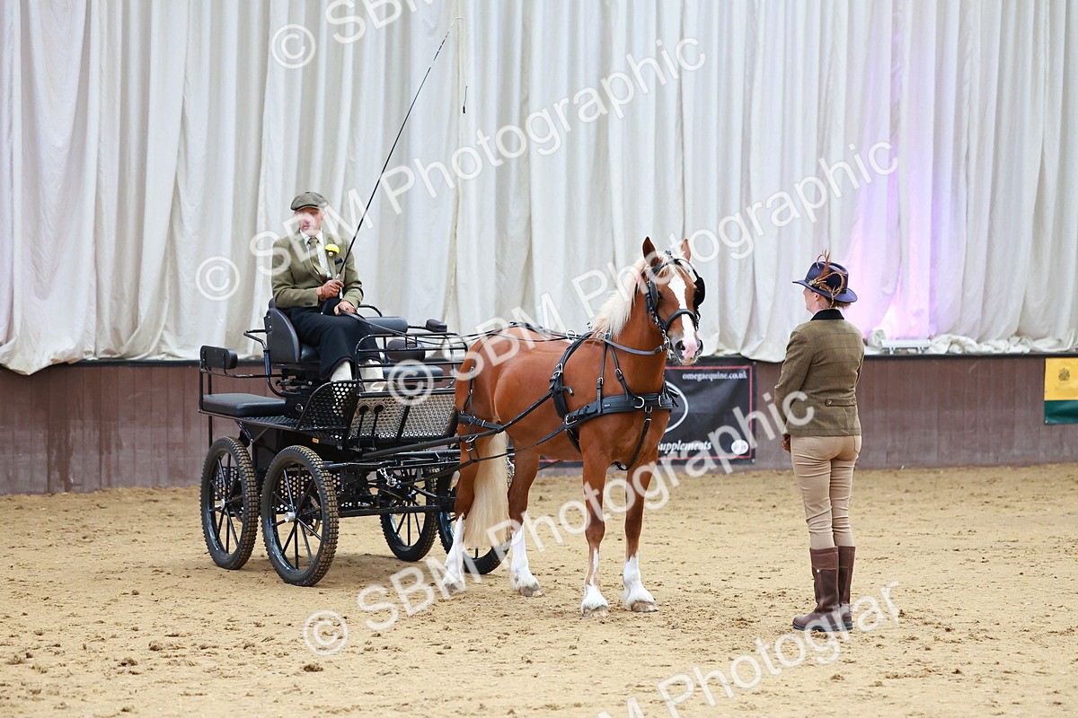 SBM_000646 - Class 11 - Peter Howell Memorial Gentlemen Whip