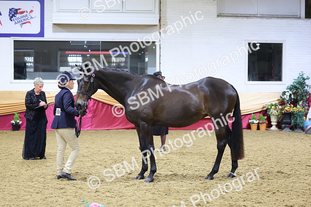 SBM_19674 - Class 901 - Supreme Final - IH Diamond