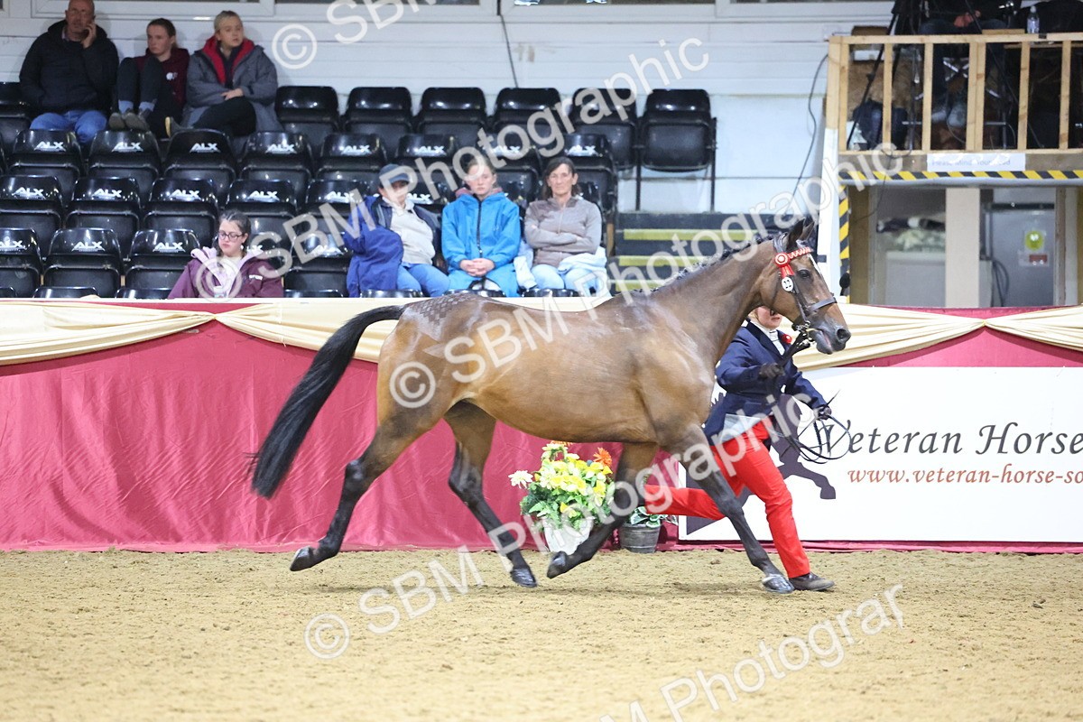 SBM_18926 - Class F Grass Roots Champ