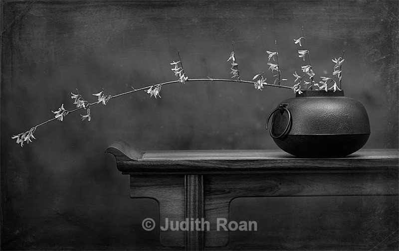 Forsythia in Tetsubin - Palladium Prints by Ron Reeder