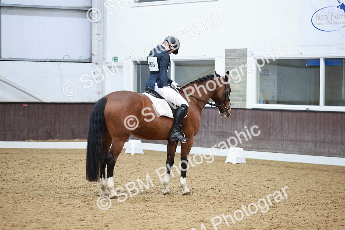 SBM_004694 - Ring 3 - International -  Working Hunter Classes 23-2-25