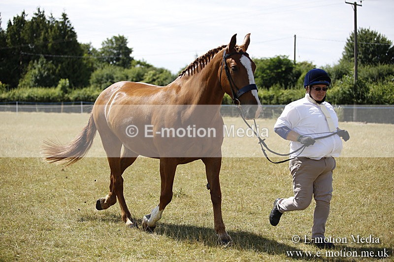 _C7A9738 - BVRC Sow 2018 Ring 2