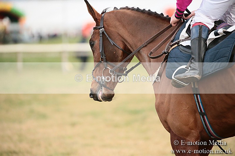 PtP 270119 557 - Cocklebarrow Races 27/01/19