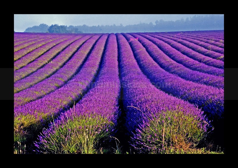 - Land