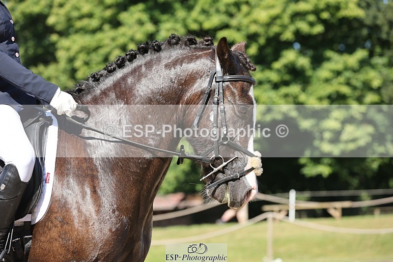 240719-094542-00249 - 262-Leia_Bower-Horeb_Llew