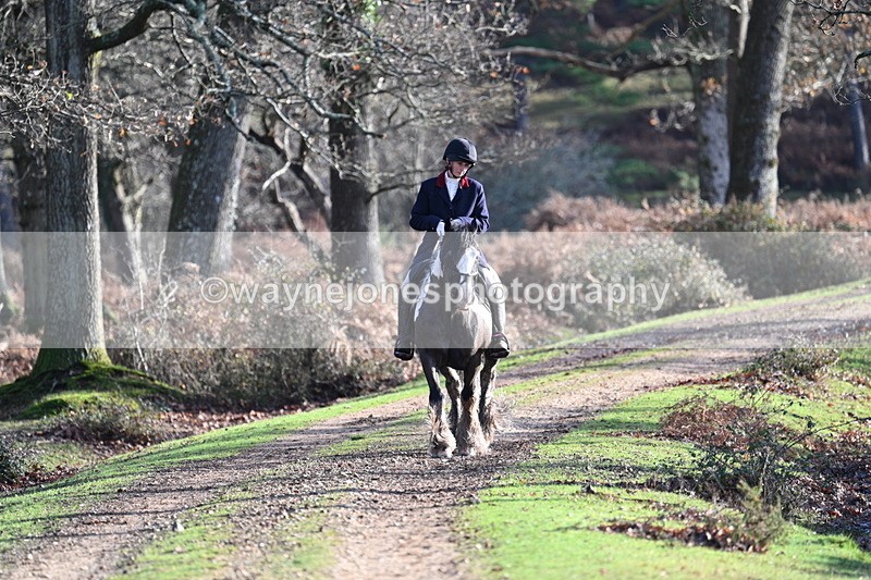 WJ7_7777 - Line 3 (no line 4 or 5)