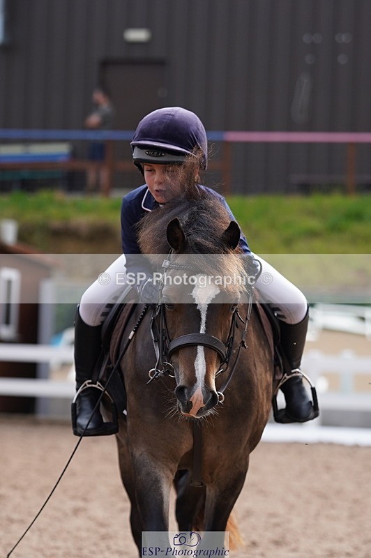 240809A-100144-00406 - Dressage Competition