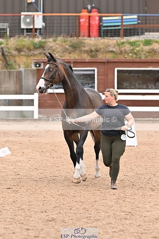 250716-144725-01395 - Trot Up 2.30 to 3.30