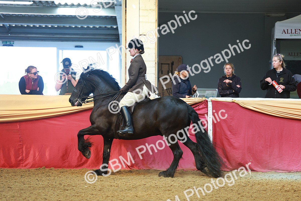 SBM_10636 - Class 103 - HOYS Veteran Qualifier - Ridden Pre Vet