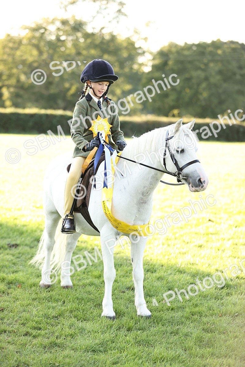 SBM_30142 - Novice & Newcomers Supreme Championship