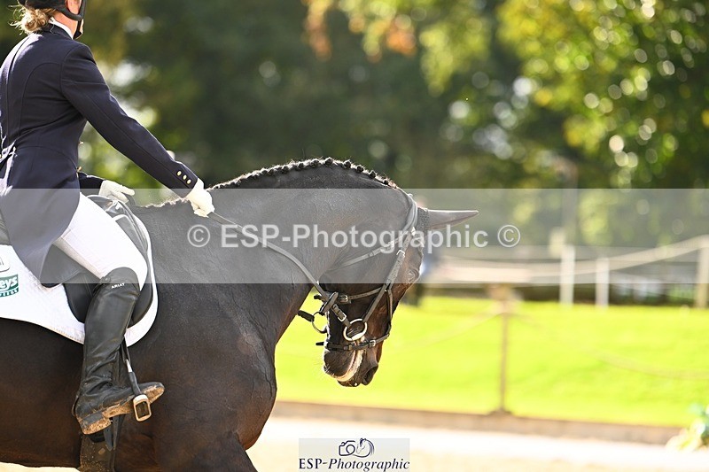 231020-143541-09986 - 308-CREEVAGH.COOLEY-Claire.Fielding-DR