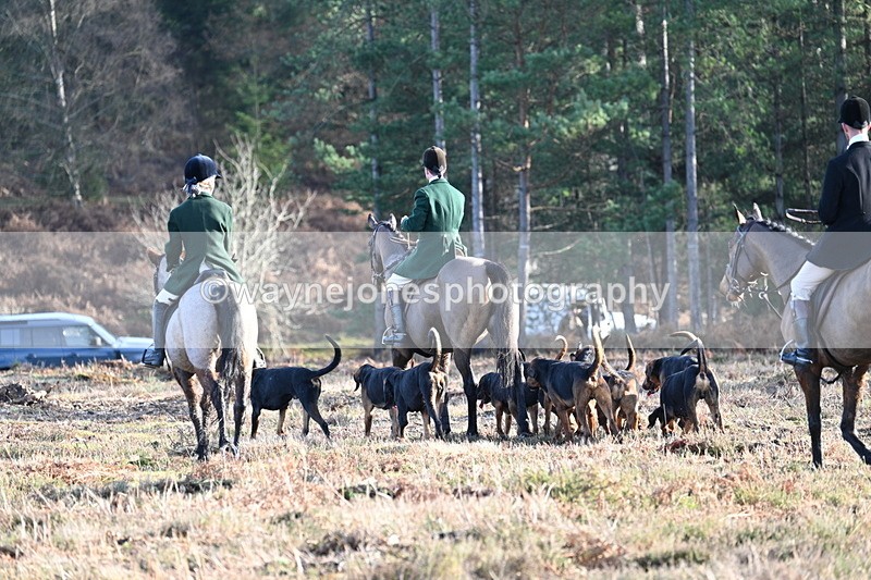 WJ7_7214 - Line 3 (no line 4 or 5)