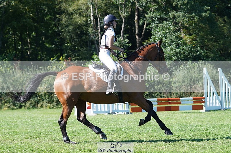 240811A-160328-06167 - 406-