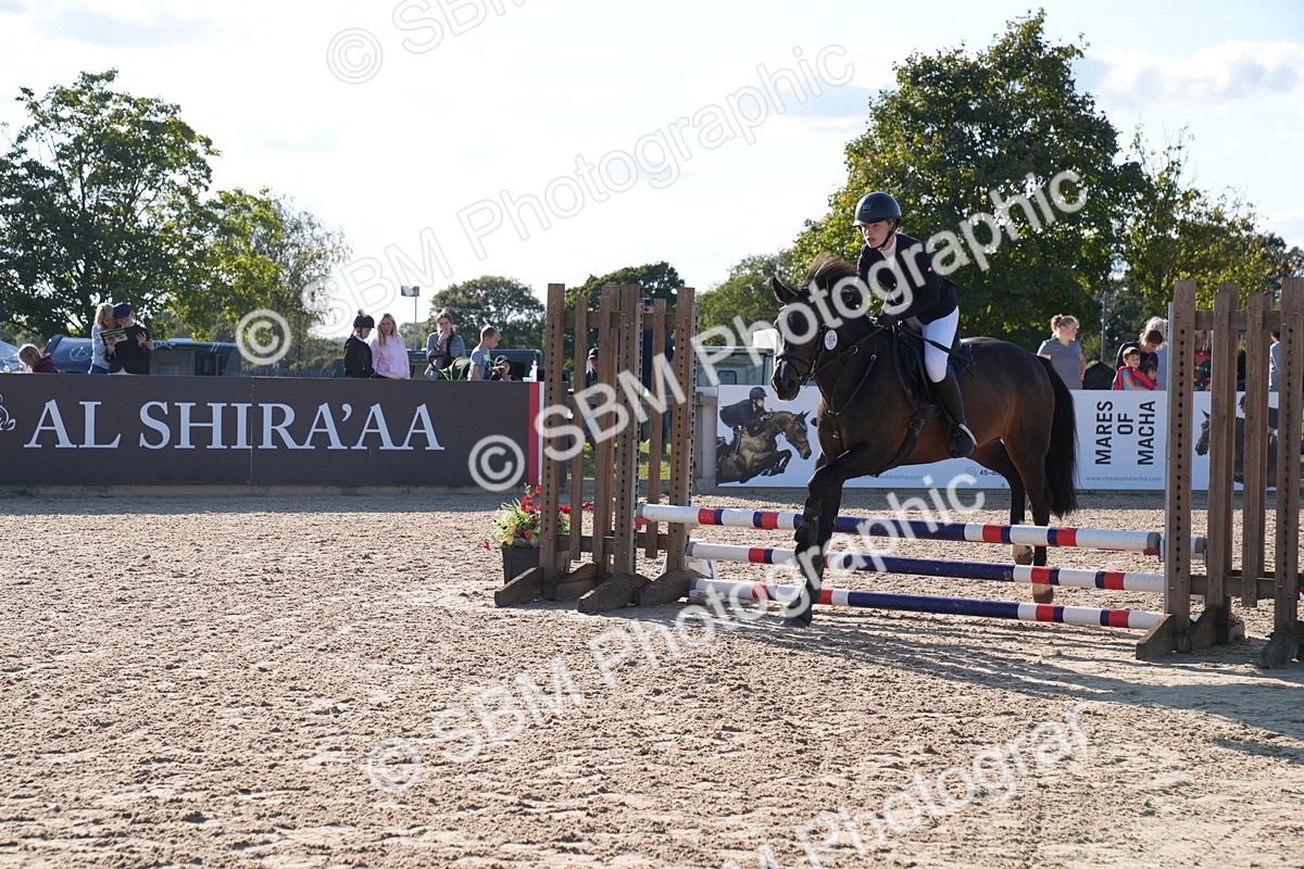 SBM_27999 - J43 - Super Speedy Scurry Open - 60cm