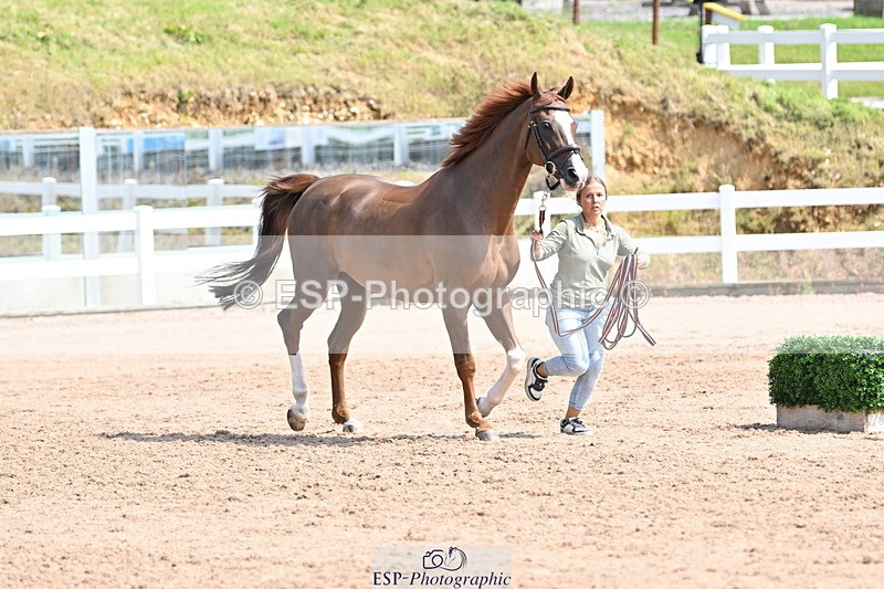 240717A-152702-02833 - Trot Up 3pm to 4pm