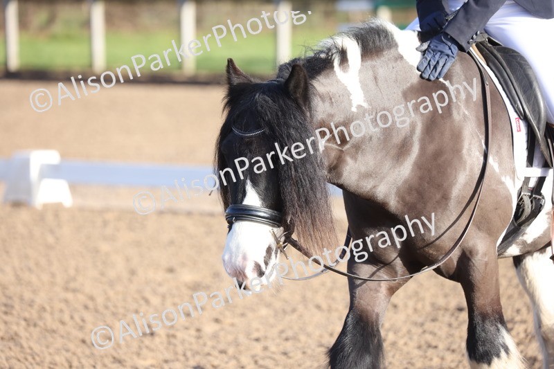 20260128-0079 - Class 2 - Prelim 5