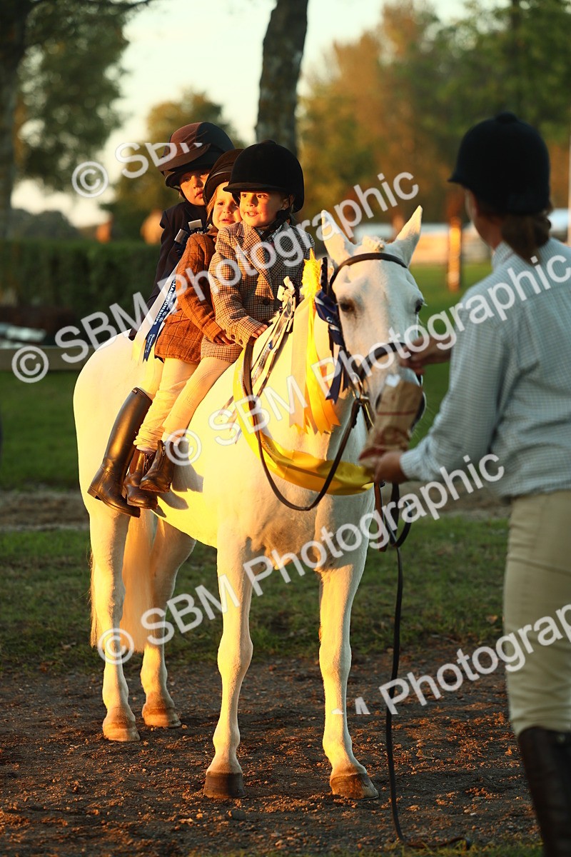 SBM_56758 - Fun & Versatile Supreme Championship