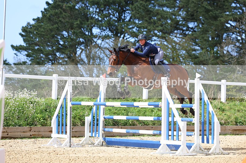 3E7A2216 - Class 8: Senior Foxhunter/1.20 open