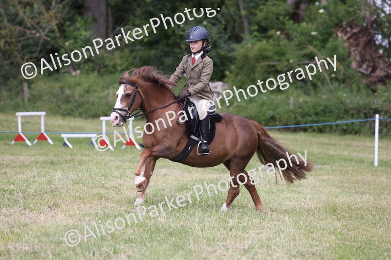 20260614-2082 - Class 21 - Novice Working Hunter Pony