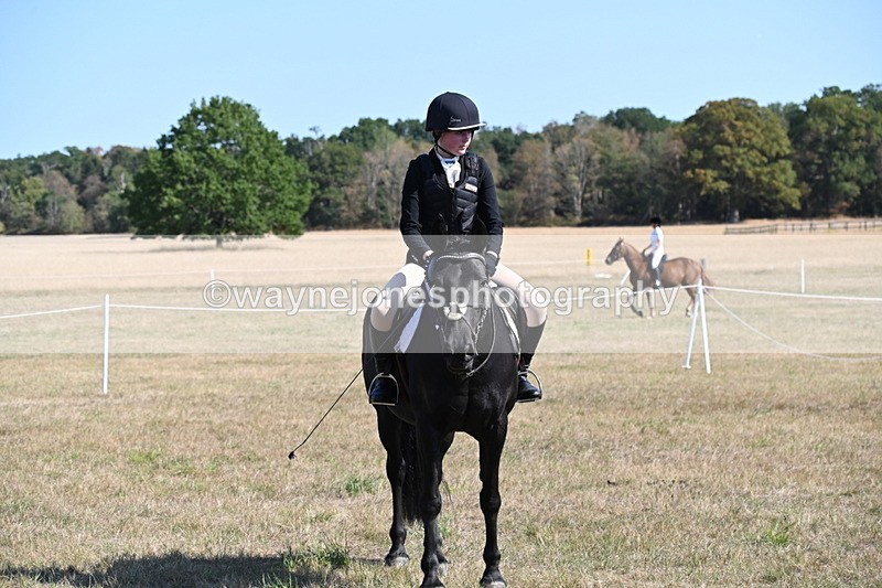 WJ6_7695 - Class 34 Judges Choice