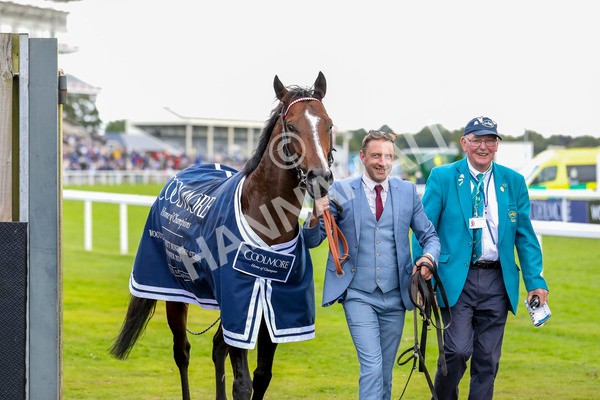 230824-Race 4-Bradsell-8432 - Race 4 3.35pm Coolmore Wootton Bassett Nunthorpe Stakes