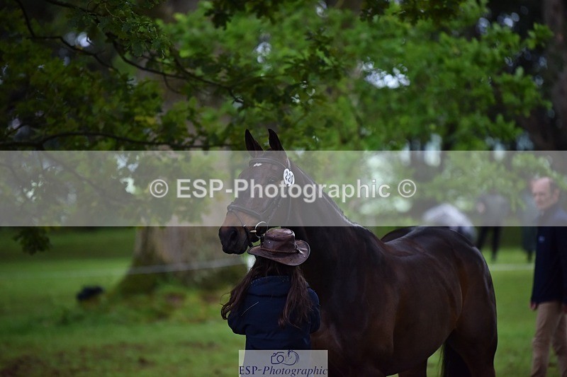 240522-164642-01146 - 220-BALLINAMURRA_FLARE_STAR-Mary_Mason