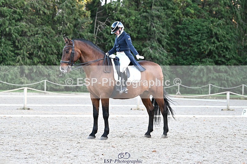 231110-155230-02350 - Cls 11 FEI PSG