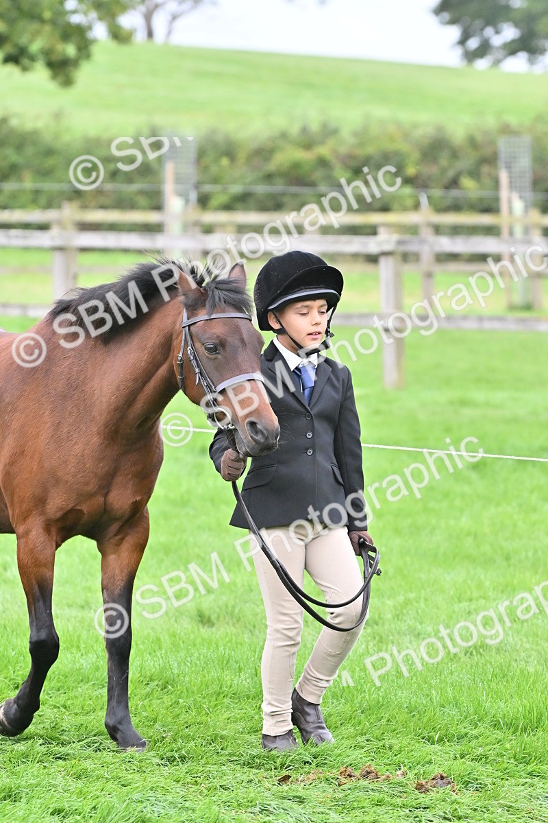 SBM_60917 - S48 - Mountain & Moorland In Hand Small Breeds