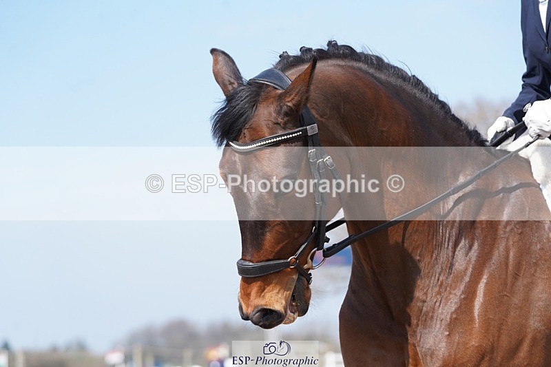 250403-120550-01819 - 054-Anthea.Parkyn-Blue.Hors.Zagato