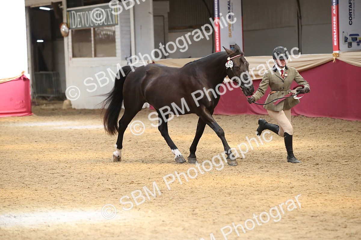 SBM_05449 - Class 8R - Regional IH Veteran
