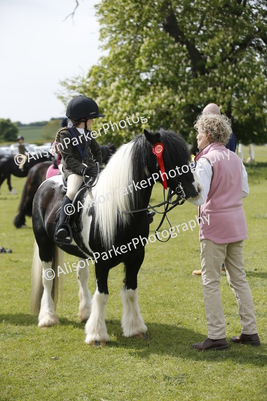 20260426-3461 - Class 11 - Best Mane and Tail