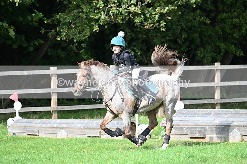 WJ7_5034 - 60cm Time 11:11 to 11:19