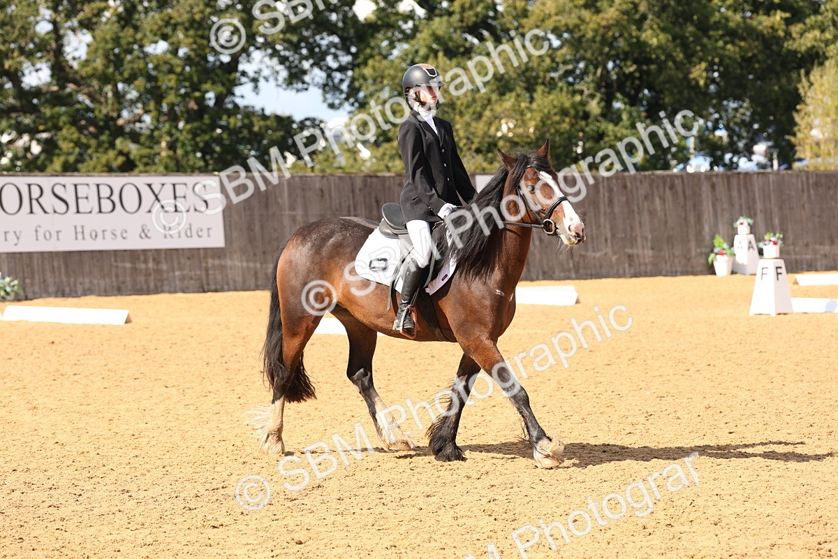 SBM_44204 - D6 - Small Tour Championship Intro 4