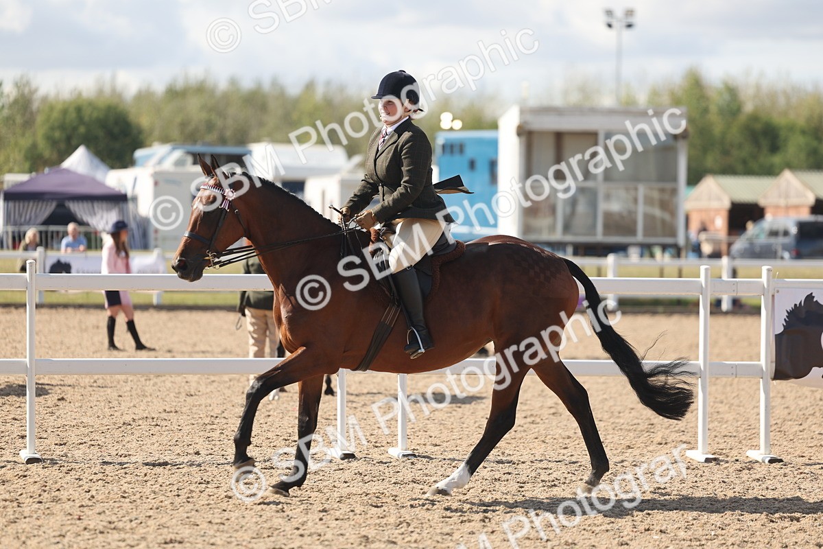 SBM_13186 - Class 306 - Ridden Foreign Breds - Part Bred