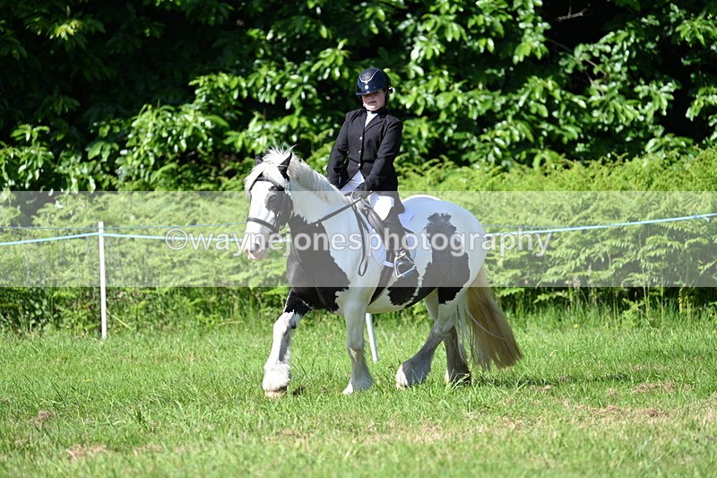 WJ7_0527 - Class 8 First Rally Pony