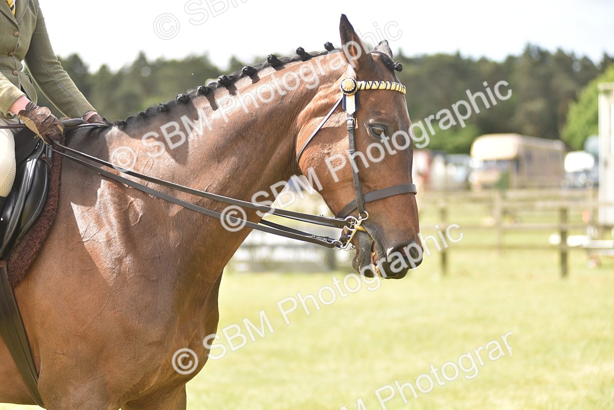 SBM_15097 - Class 113-114 - Retraining of Racehorses Ridden