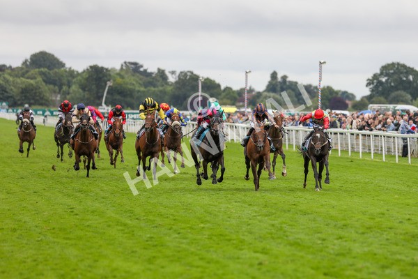 130724-Race 6-Zimmerman-2196 - Race 6 4.50pm John Smith's Stayers' Handicap