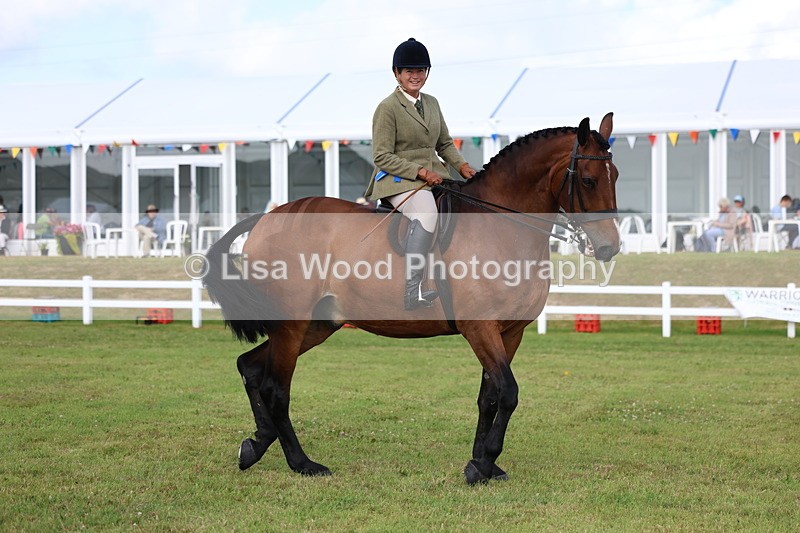 3E7A9601 - Class 4: Rising Star M/H Hunter