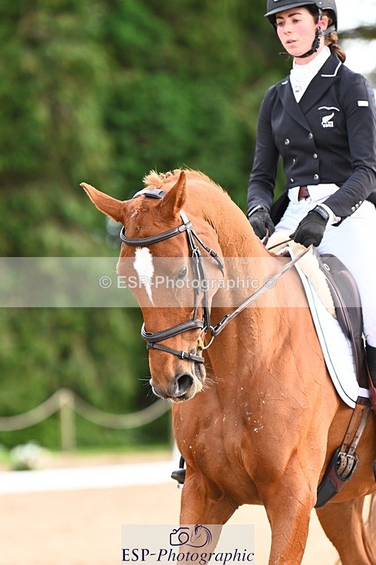 231021-162134-21105 - 265-EG.TIGER.CHILLI-Tayla.Mason-DR