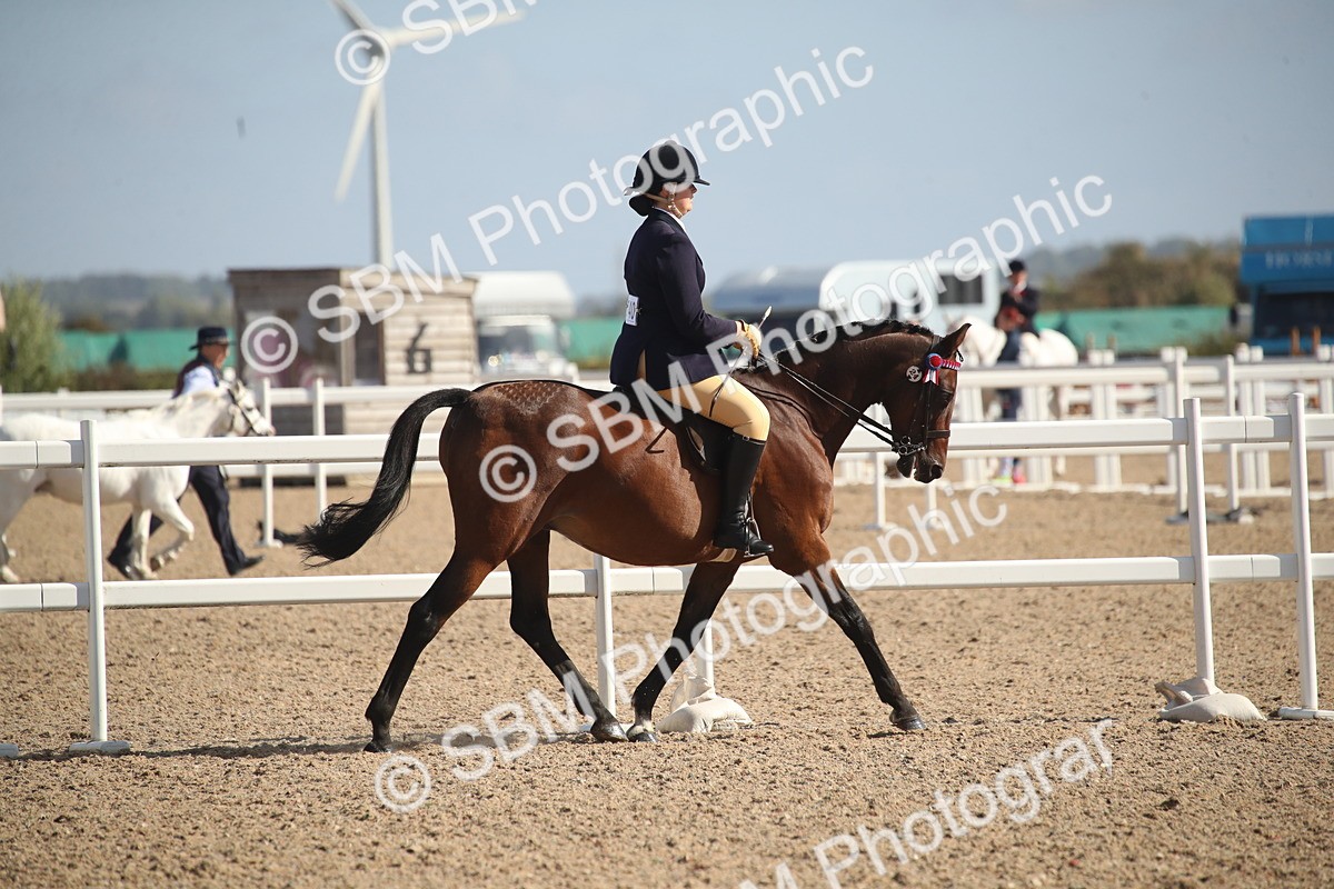 SBM_22823 - Class 602 - 2026 Area - Ridden Veteran